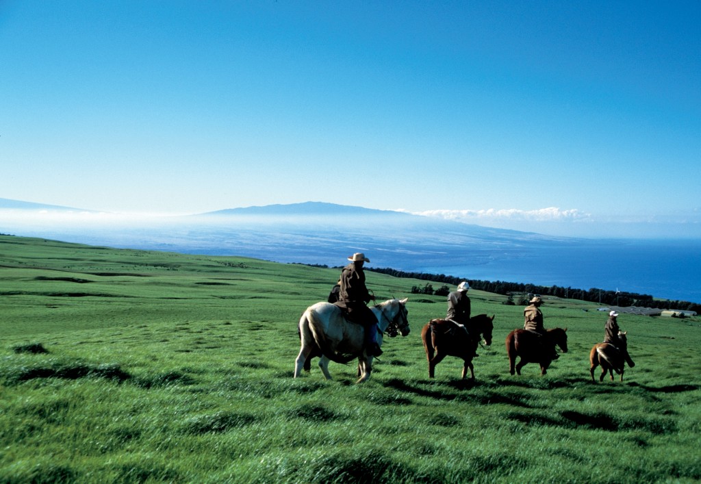 Hawaii horseback riding