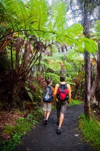 Hiking Hawaii