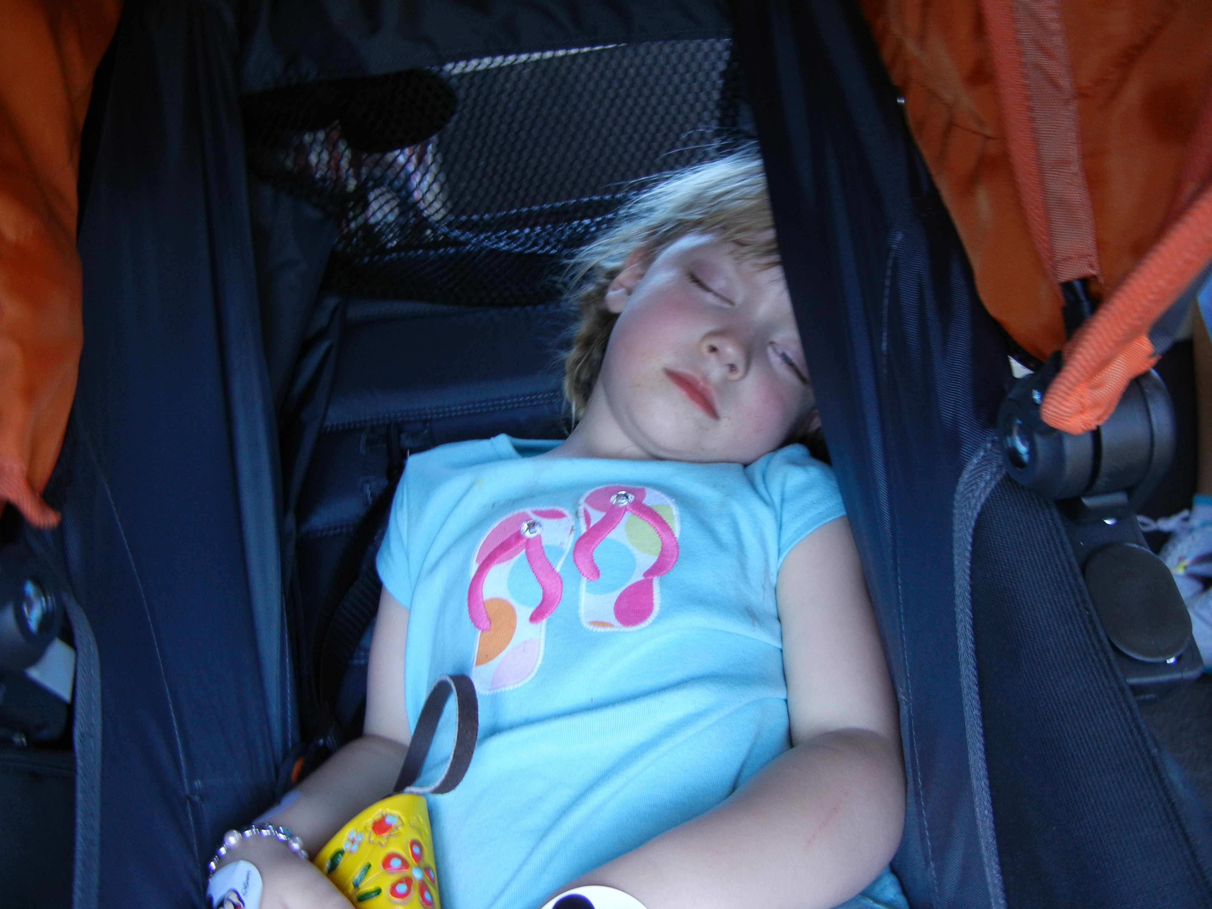 kid sleeping in stroller disney world