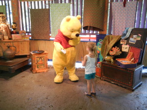 use a Disney travel agent