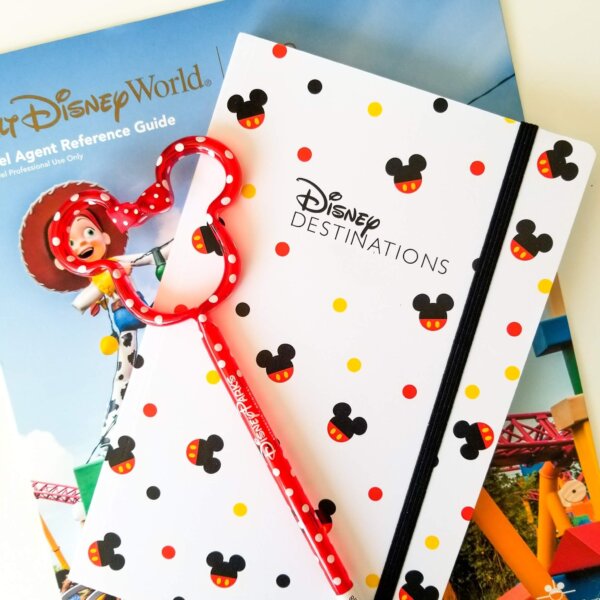 Become a Disney Vacation Planner