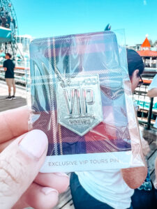 Disney VIP tour, worth it?