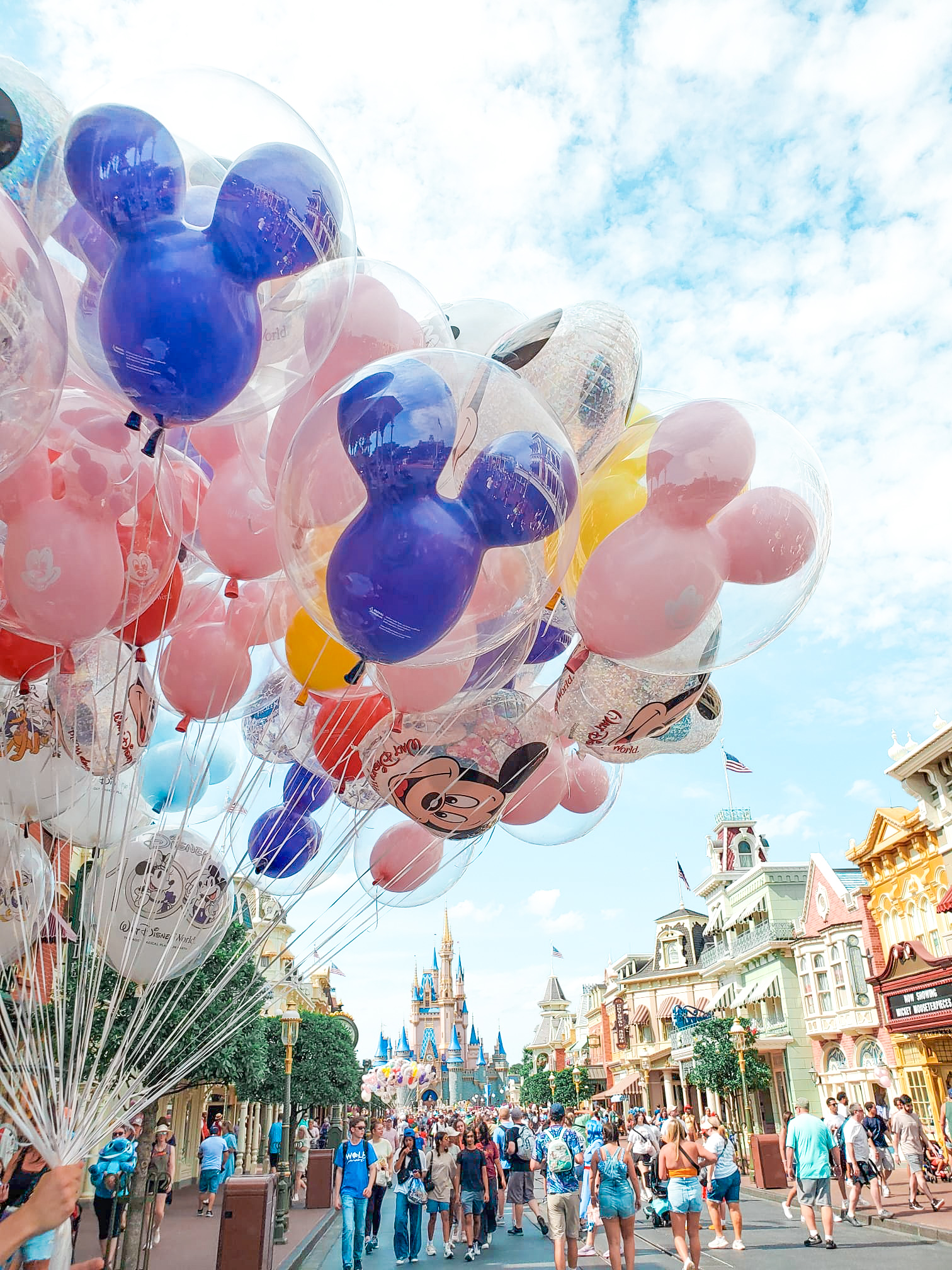 Can you do Disney World without a Park Hopper ticket?